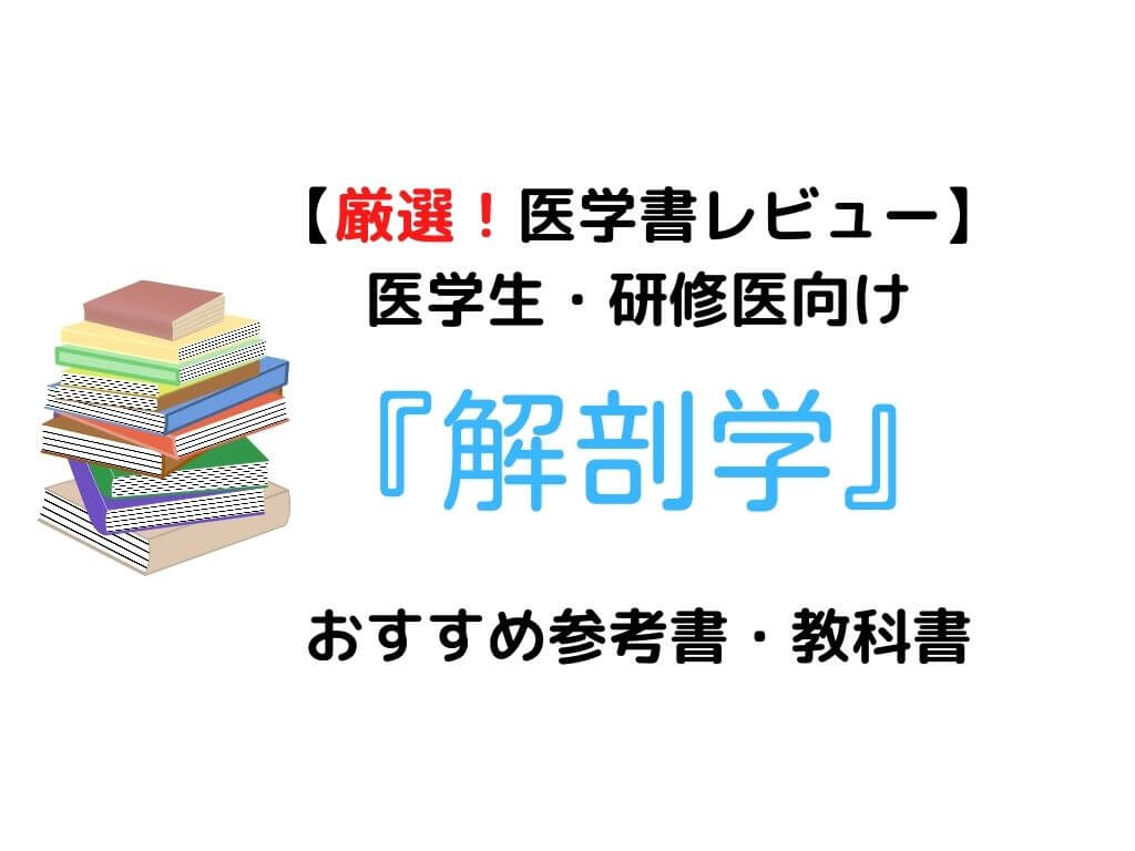 解剖学書/参考書/医療系-